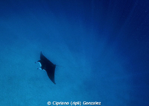 snorkeling feeling by Cipriano (ripli) Gonzalez 